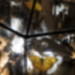 detalle de cúpula