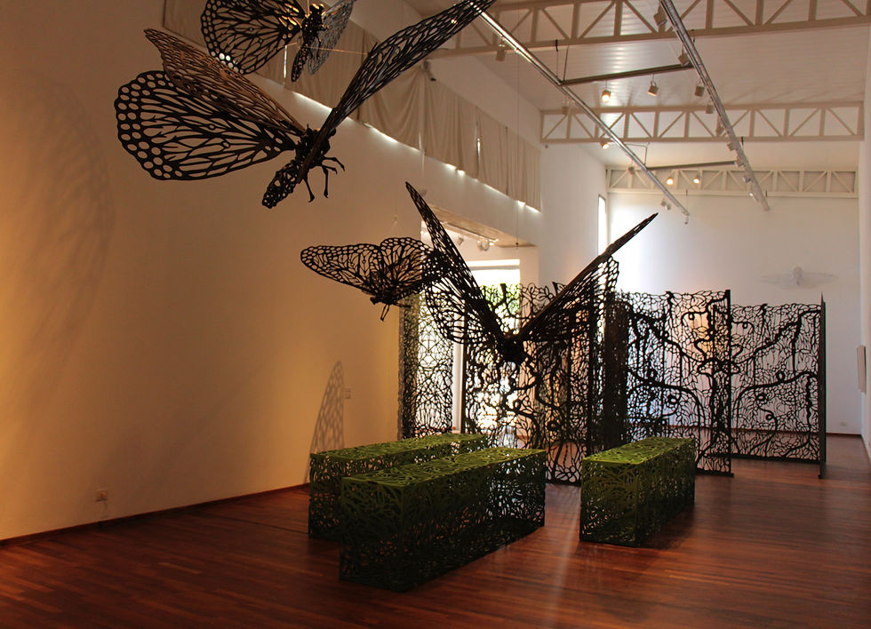 migrantes Museo FAyD Oberá