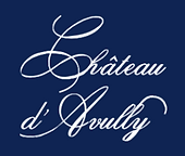 Logo_Avully.png