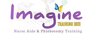 Imagine Training Hub logo