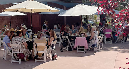 Screenshot (111)_edited_edited.jpg