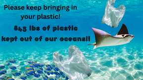 Plastic Recycling Program