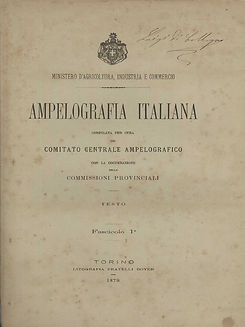 Ampelografia Italiana.jpeg