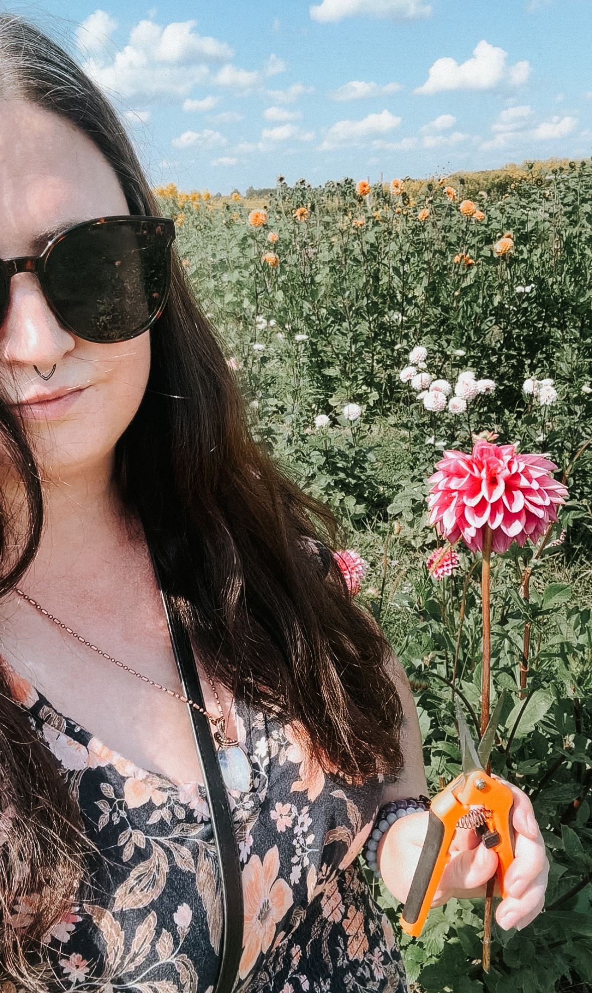 Local romance author J.C. Hannigan in a flower field holding a flower.