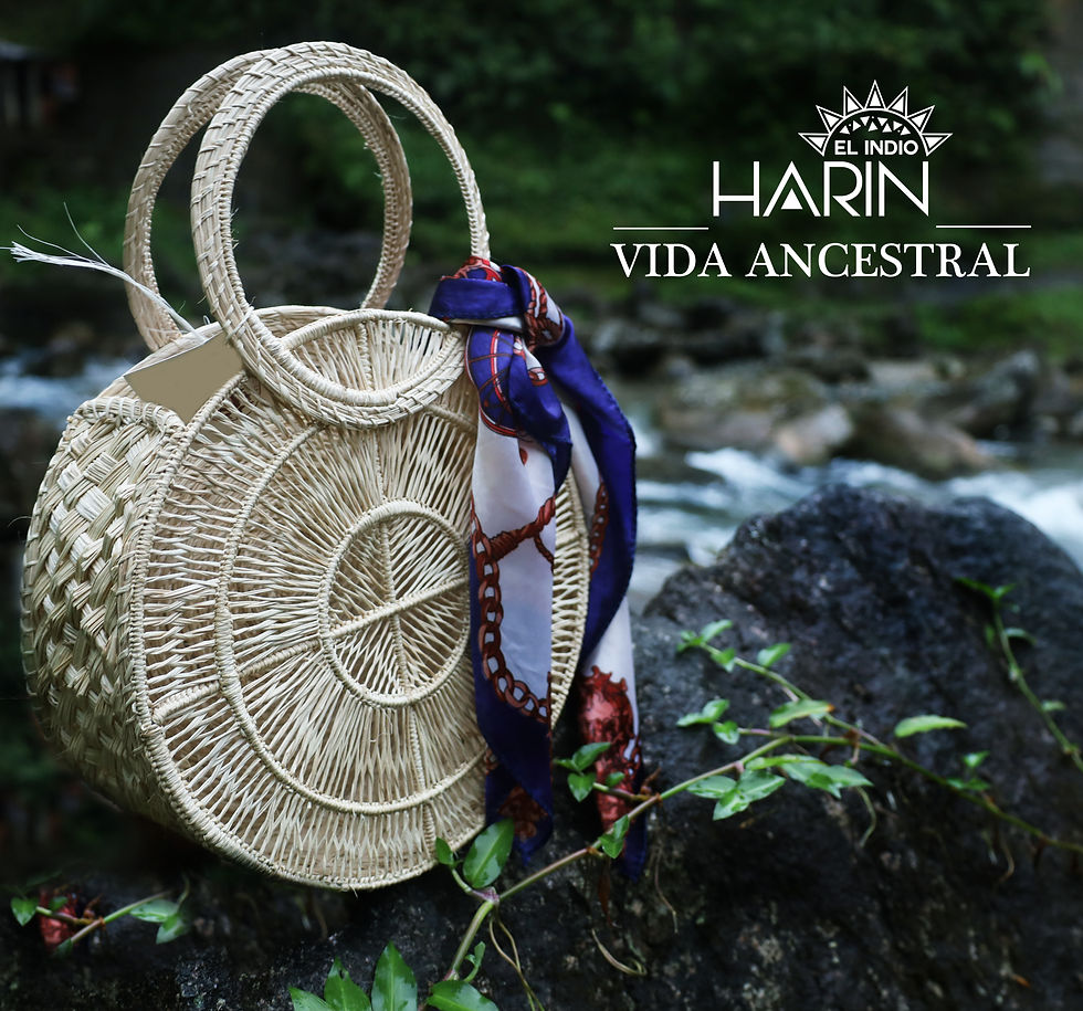 BOLSO CON PALMA DE IRACA Y PAÑOLETA