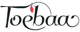 toebaa logo lichspeed.png