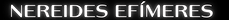 NereidesEfímeres-presentation (2).png