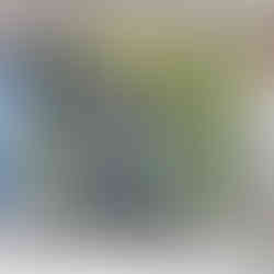 Radio Flyer City 4-in-1