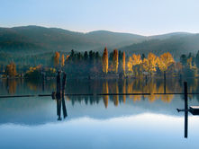 Reflections of Autumn Trees on Lake
