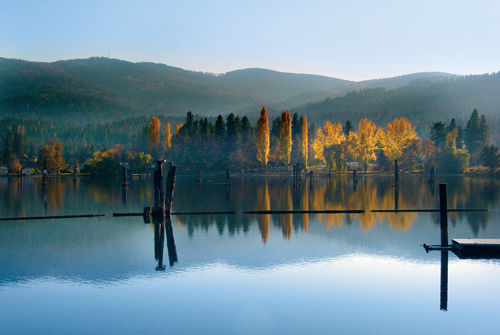 Reflections of Autumn Trees on Lake