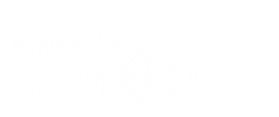 NI Explorer Logo-white.png