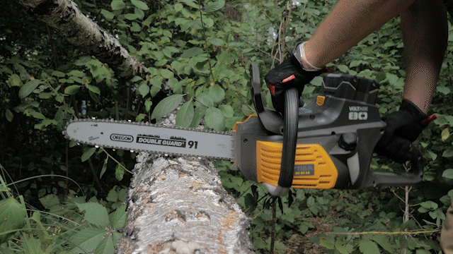 Closeup of freshly cut logs