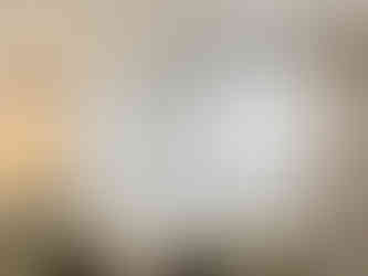 Sheer with BlockOut Curtain In Living Room