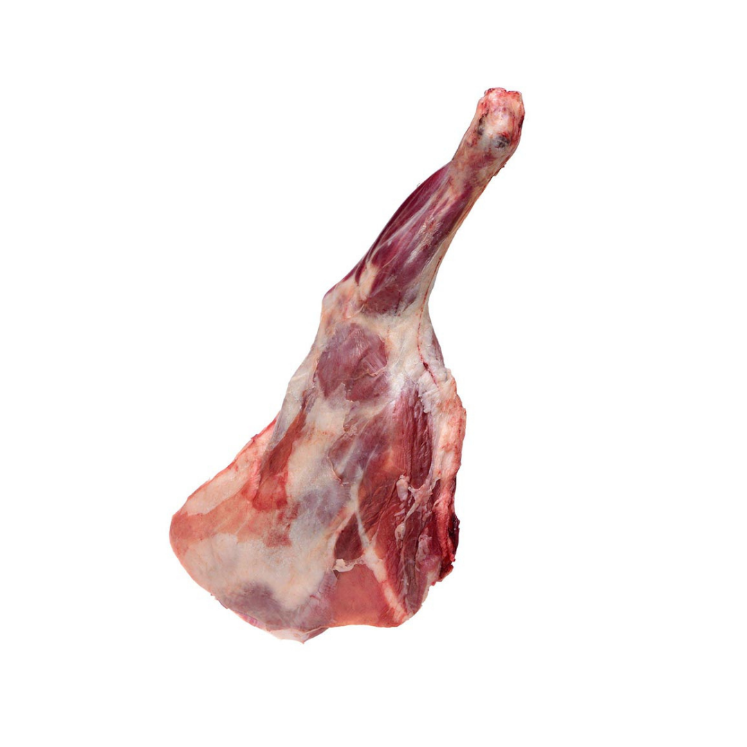 Sheep Leg