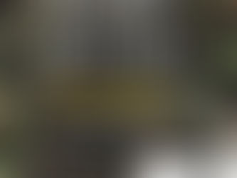 Allegro Bestiale - viaggio ai confini della biodiversità