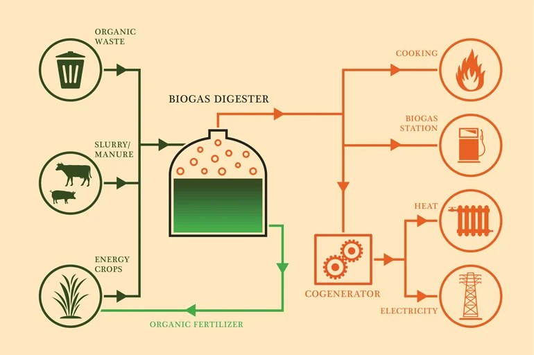 what-is-biogas.webp