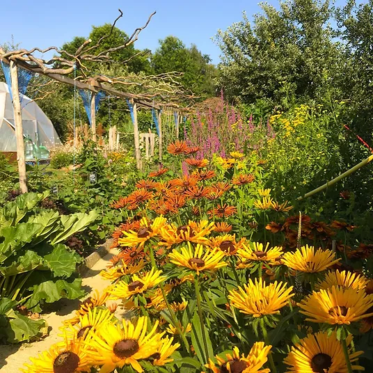 Jardins Rocambole Jardin Remarquable Biologique 35150 Corps Nuds