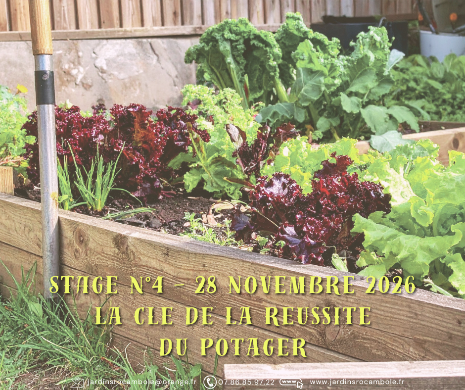 STAGE : LA CLE DE LA REUSSITE DU POTAGER