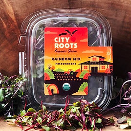 City Roots Organic Farm Organic Rainbow Microgreens comes in three packaging sizes