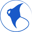 Raie manta Tanamo