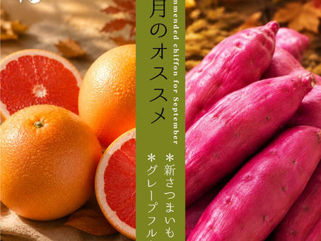 9月のオススメシフォン