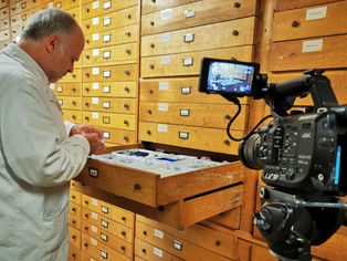 Nouveau tournage au Muséum