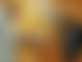 Nouveau tournage au Muséum