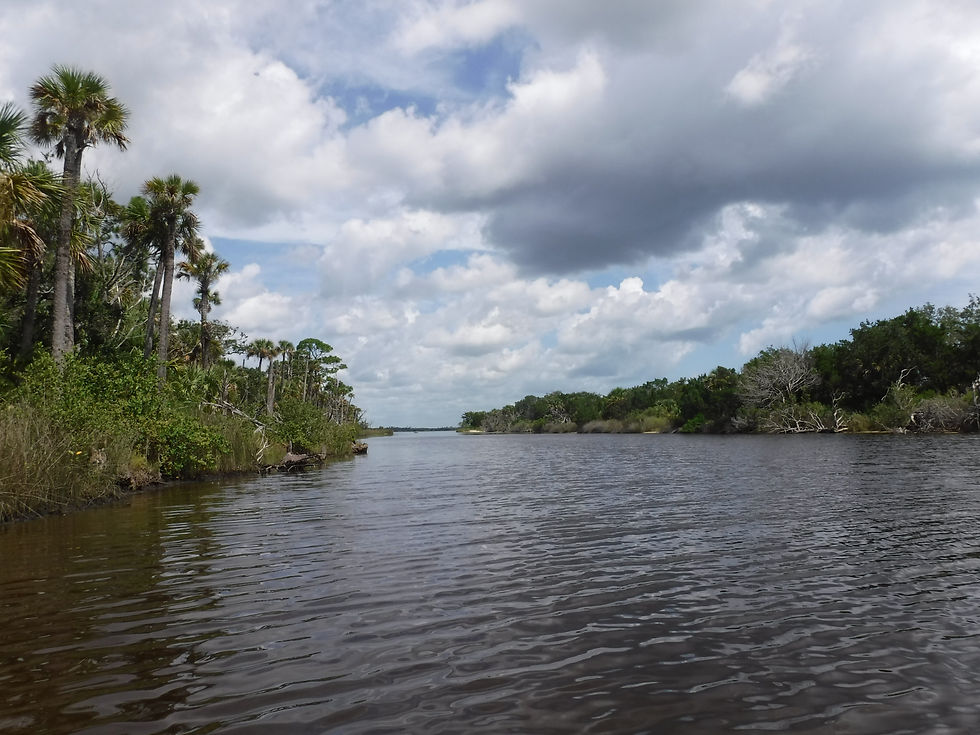 Eye-level view of a serene river winding through lush green trees at Tomoka State Park