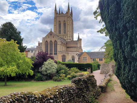 Bury St Edmunds Uncovered The Lost Abbey St Edmunds Wolf and The Nutshell Guide