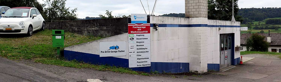 pro-drive-garage-fischer-einfahrt.jpg