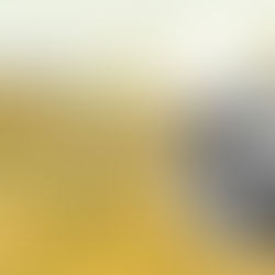 Scents & Sensibility: A Beginner’s Guide to Diluting Essential Oils + DIY Recipe for Stress