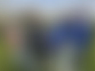 Class learns about the life cycle of butterflies through grant