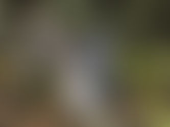 Single engine plane found crashed in Orange County with pilot still alive