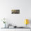 Thumbnail: Salem Square Matte Canvas, Stretched