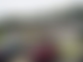 Hardinsburg Town Attorney Gives Analysis on Ownership of Senior Citizens Building