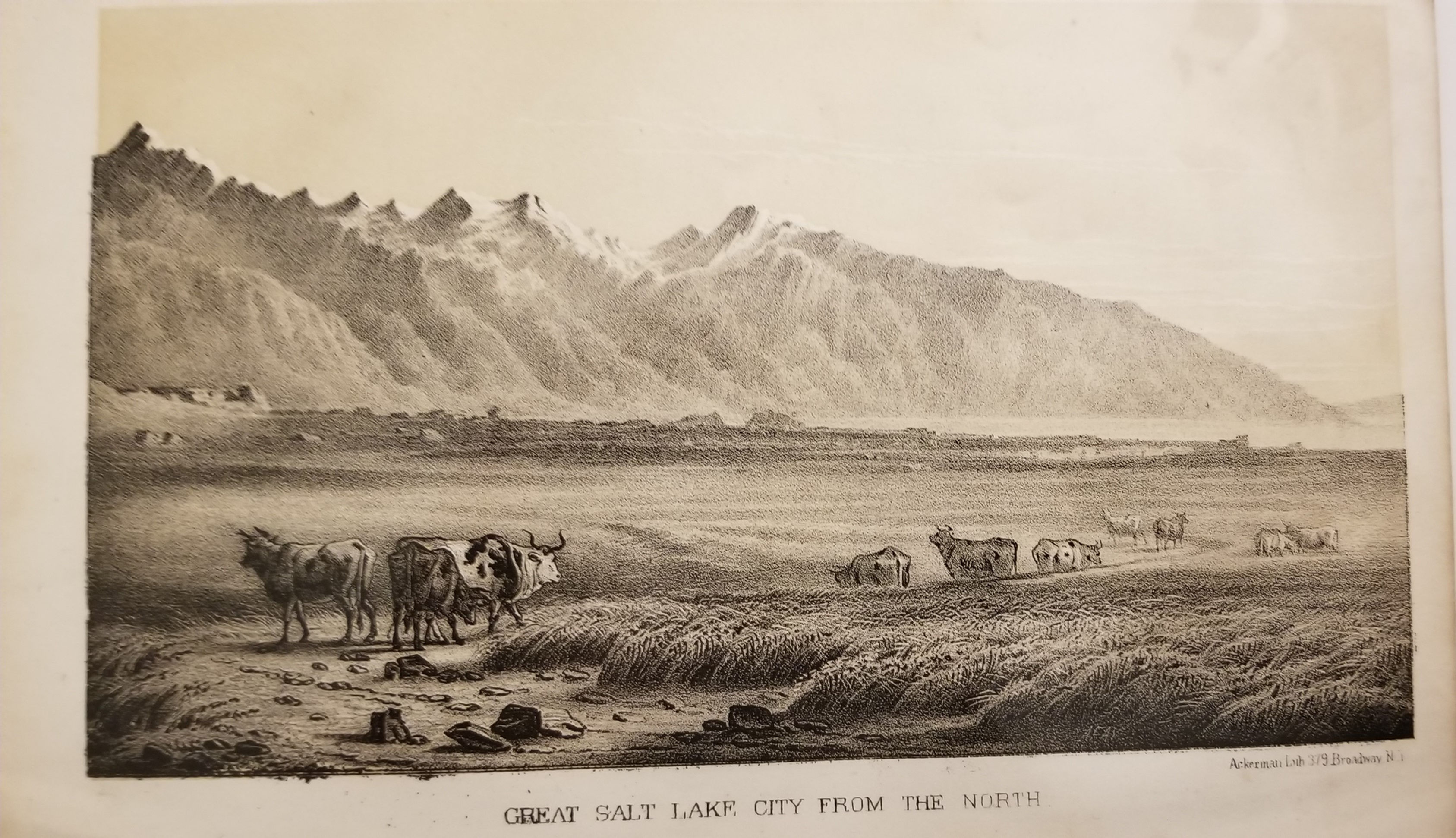 Great Salt Lake City from the North, Stansbury, 1853