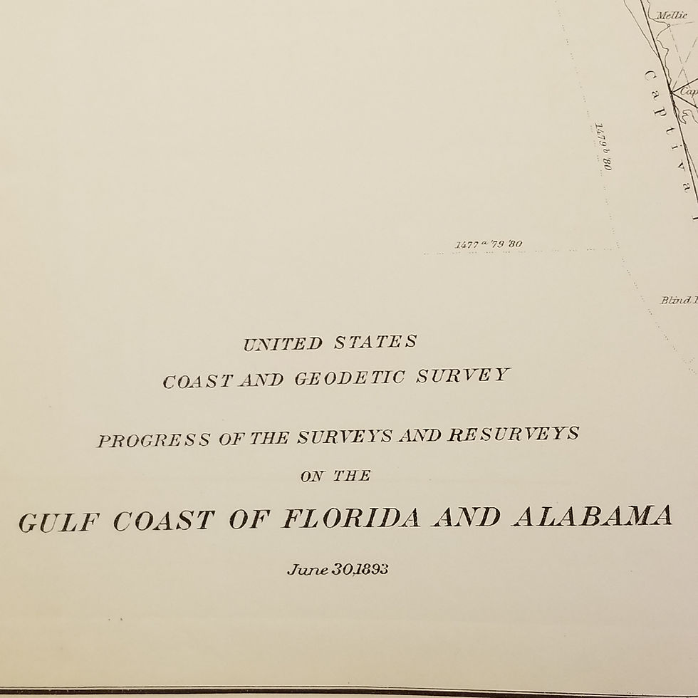Thumbnail: Surveys of the Gulf Coast of Florida and Alabama, 1893