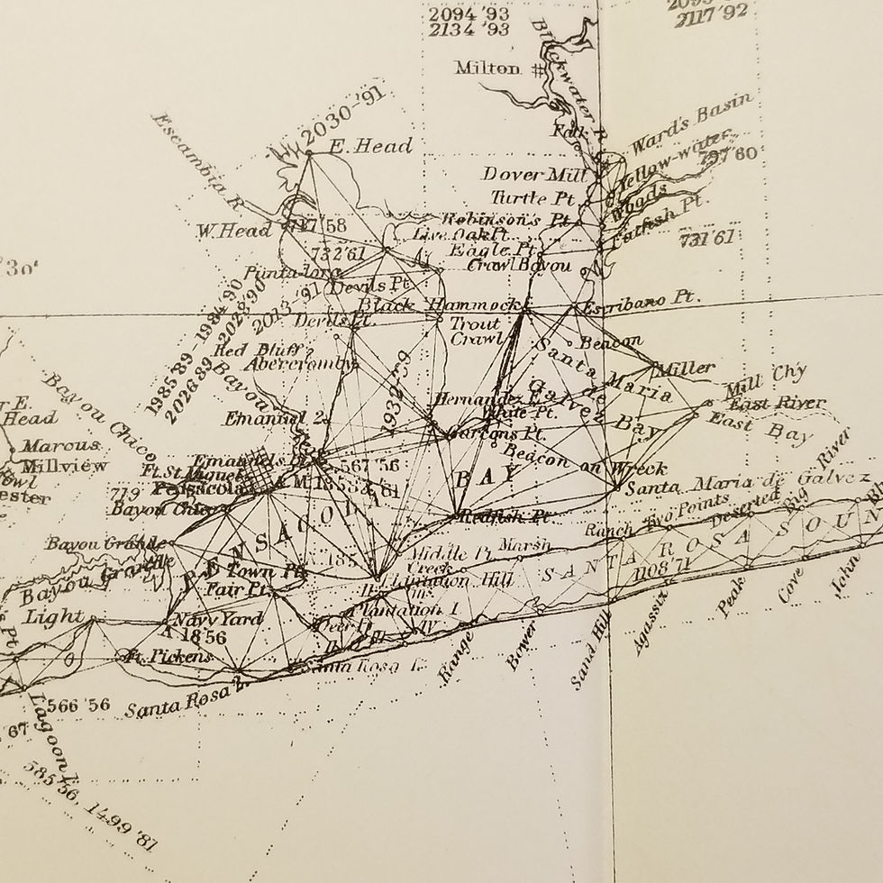 Thumbnail: Surveys of the Gulf Coast of Florida and Alabama, 1893