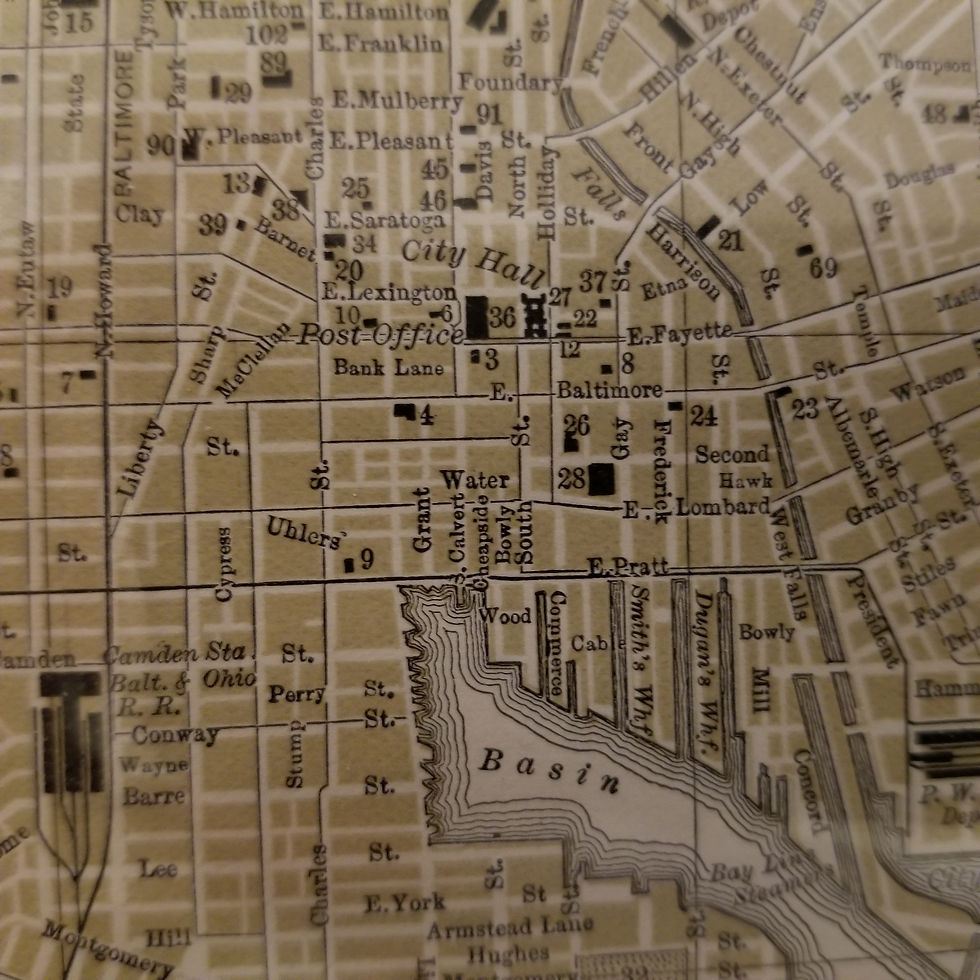 Thumbnail: Baltimore city plan, Johnson's Cyclopaedia, 1895