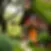 midjourney blog post image