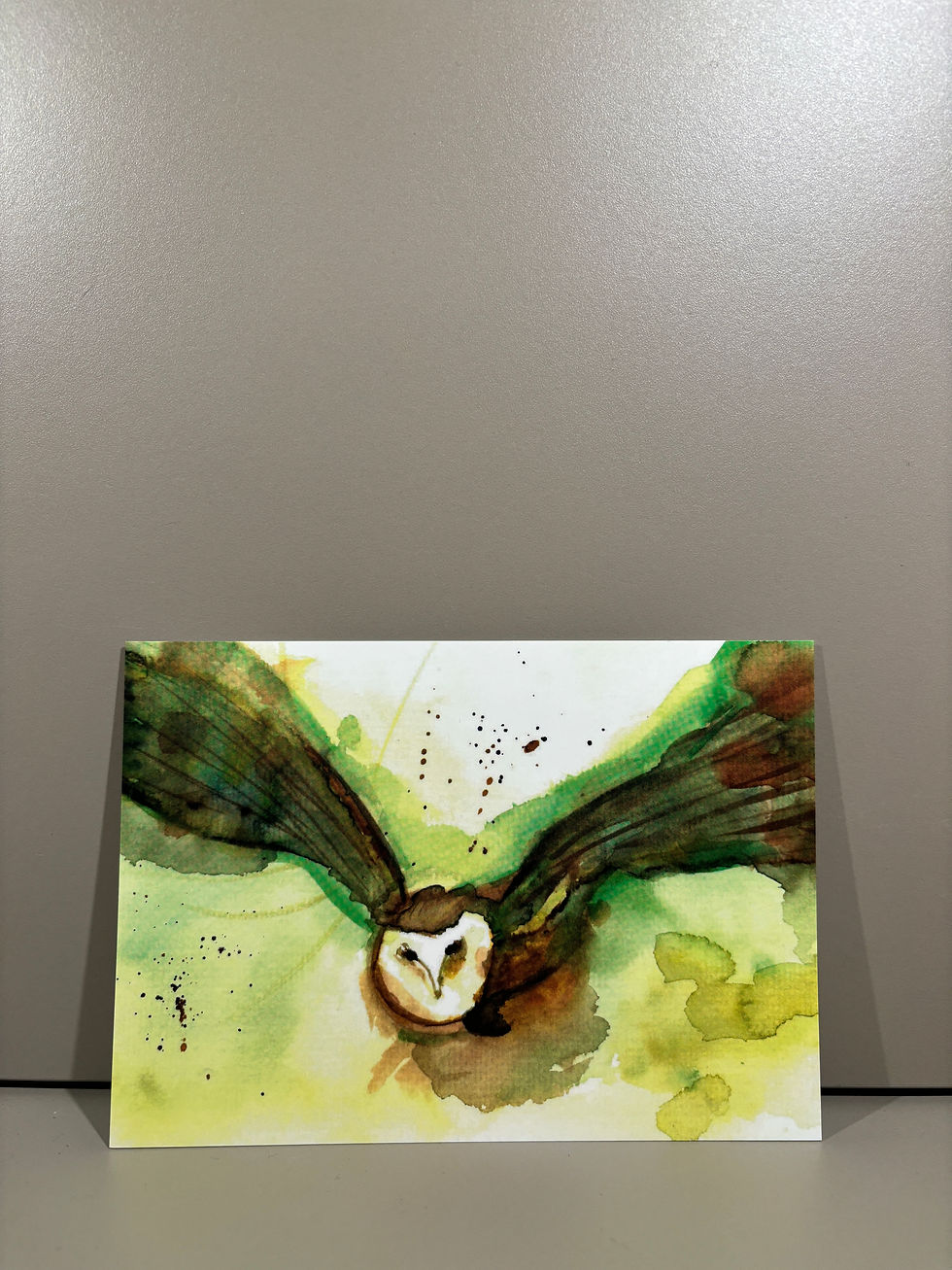 Miniaturbild: Postkarten A5