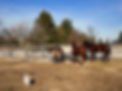 B72FECCA-8392-4222-B4BA-9904A2B61E13_edited.jpg