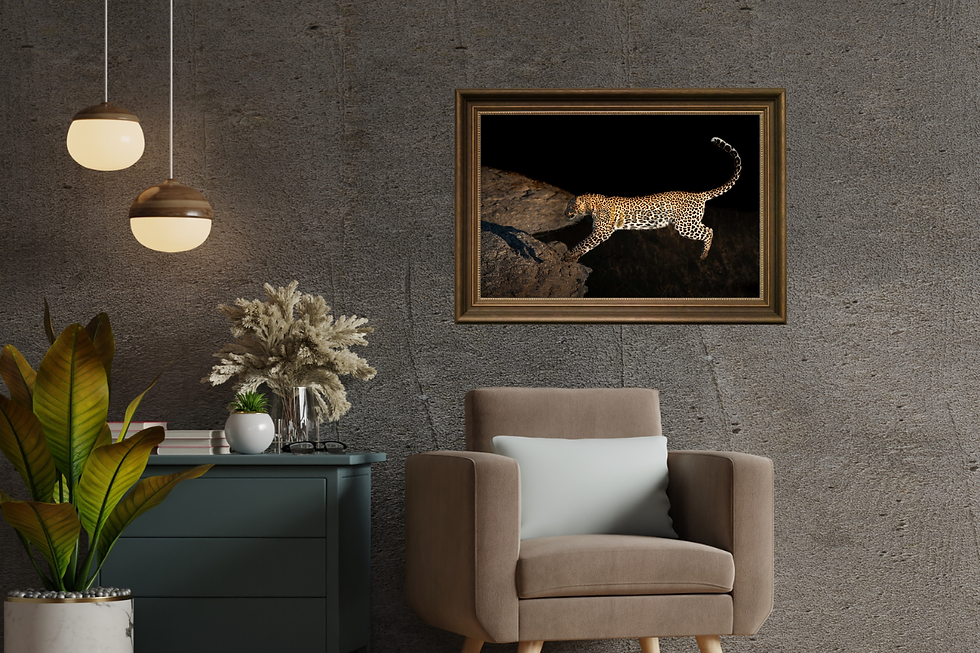 Thumbnail: Flying Cat - Leopard