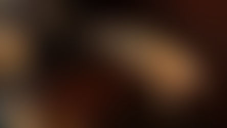 World Bee Day and the gift of honey 