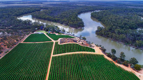 Basin forces align with a vision of shared prosperity