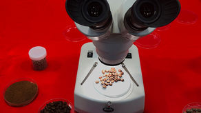 Melbourne coffee culture in space