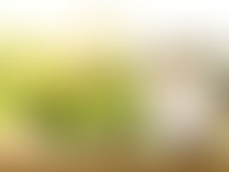 Luengo Abogados, Valladolid. Derecho civil, penal, laboral y bancario. Extranjería, divorcios, despidos y cláusulas suelo. Ante todo, personas.