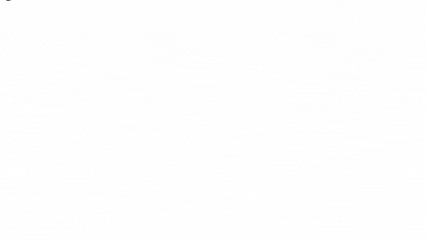 IL PROGRAMMA.gif