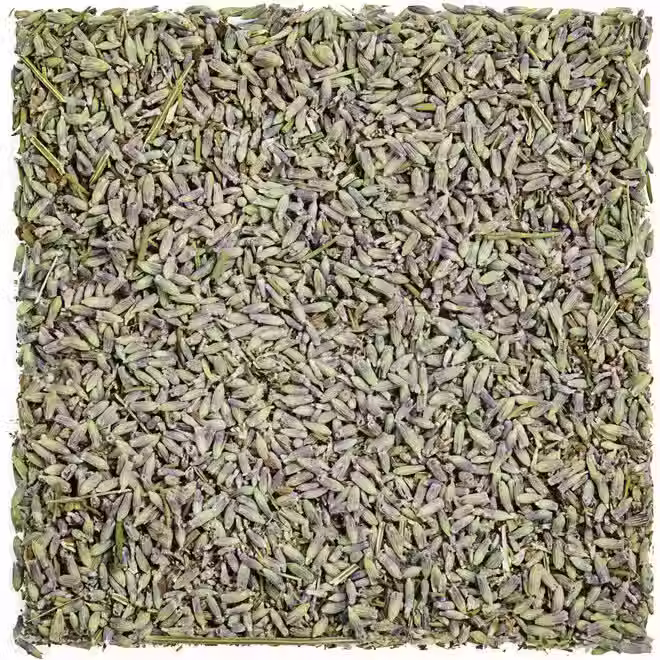 Lavender Flowers
