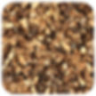Burdock Root